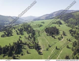 background nature forest High Tatras 0017